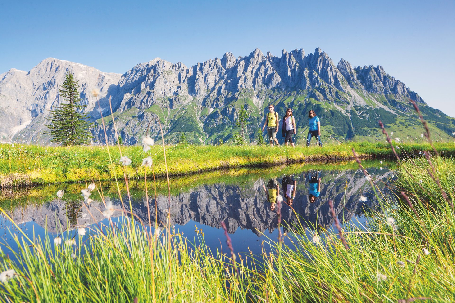 Wandern am Hochkönig im Sommerurlaub i