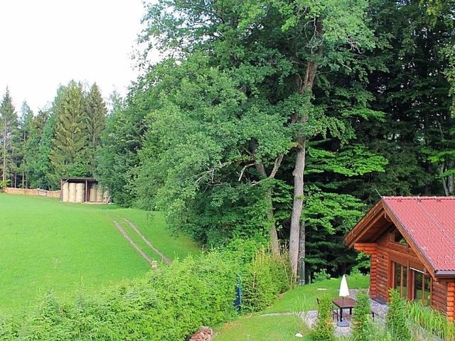 Hütte am Wald in Hof bei Salzburg im Sommer