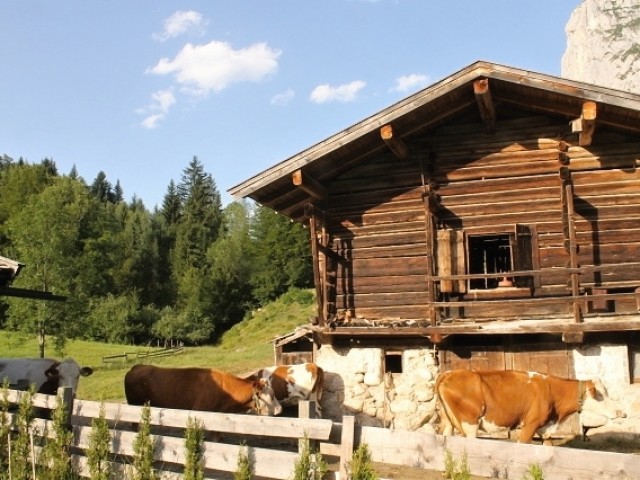 Ferienwohnung Seywaldhof in Lofer