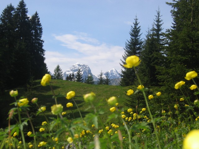 Götzbauernhof
