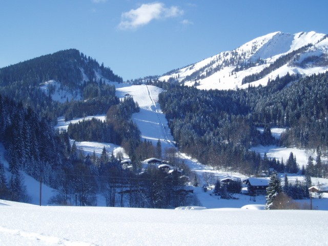 Eggerbauer